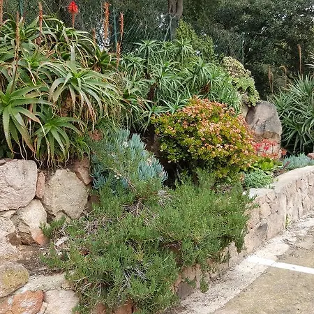 Corsica Porto-vecchio, Partie Dortoirs 维琪奥港